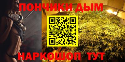 дмт Гатчина