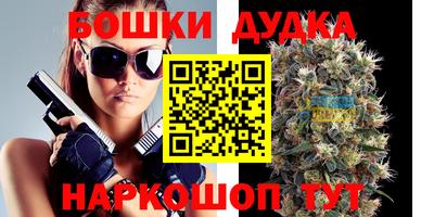 спайс Гагарин
