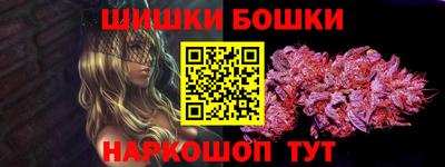 дмт Гатчина